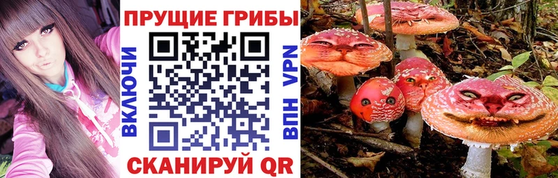 МЕГА Губкинский Галлюциногенные грибы Cubensis